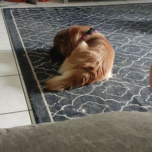 Meet your Posher, Phil